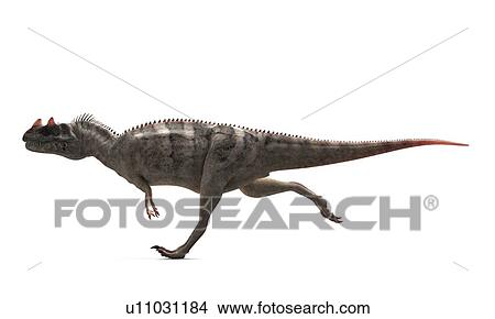 Stock Illustration - Ceratosaurus dinosaur, artwork. Fotosearch