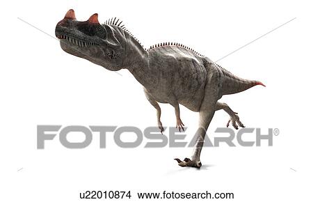 Ceratosaurus dinosaur, artwork View Large Illustration Stock Illustration - Ceratosaurus dinosaur, artwork. Fotosearch