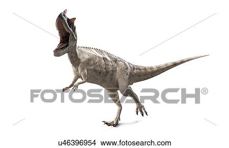 Ceratosaurus dinosaur, artwork View Large Illustration Stock Illustration - Ceratosaurus dinosaur, artwork. Fotosearch