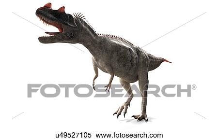 Ceratosaurus dinosaur, artwork View Large Illustration Stock Illustration - Ceratosaurus dinosaur, artwork. Fotosearch