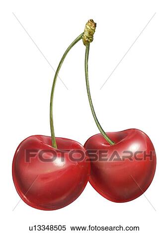 Stock Illustration - Cherries, artwork. Fotosearch