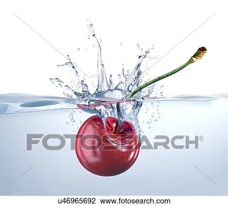 Cherry falling into water, artwork View Large Illustration Drawing - Cherry falling into water, artwork. Fotosearch