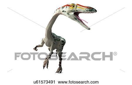 Coelophysis dinosaur, artwork View Large Illustration Clip Art - Coelophysis dinosaur, artwork. Fotosearch