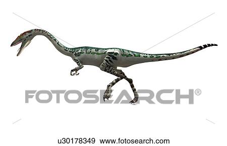 Coelophysis dinosaur, artwork View Large Illustration Stock Illustration - Coelophysis dinosaur, artwork. Fotosearch