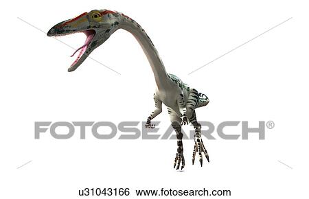 Stock Illustration - Coelophysis dinosaur, artwork. Fotosearch