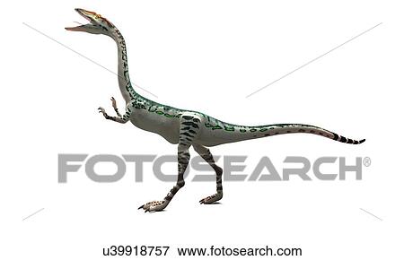 Stock Illustration - Coelophysis dinosaur, artwork. Fotosearch