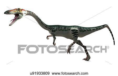 Stock Illustration - Coelophysis dinosaur, artwork. Fotosearch