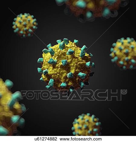 Drawing - Coxsackievirus B3, artwork. Fotosearch