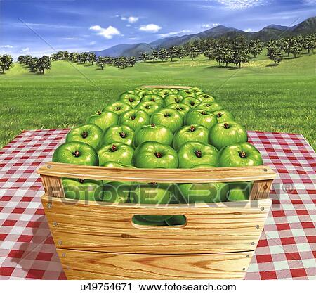 Crate of apples, artwork View Large Illustration Clip Art - Crate of apples, artwork. Fotosearch