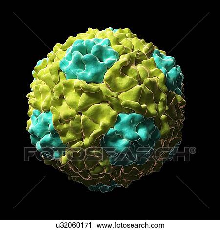 Clip Art - Cricket paralysis virus particle, artwork. Fotosearch