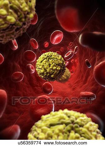 Dengue virus, artwork View Large Illustration Stock Illustration - Dengue virus, artwork. Fotosearch