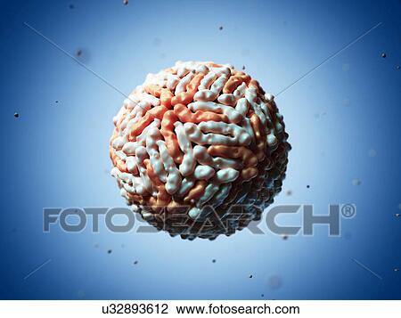 Drawing - Dengue virus particle, artwork. Fotosearch