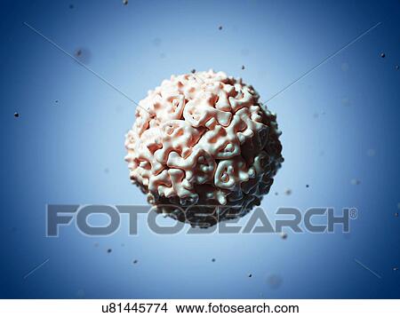 Densovirus particle, artwork View Large Illustration Stock Illustration - Densovirus particle, artwork. Fotosearch