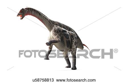 Drawing - Dicraeosaurus dinosaur, artwork. Fotosearch