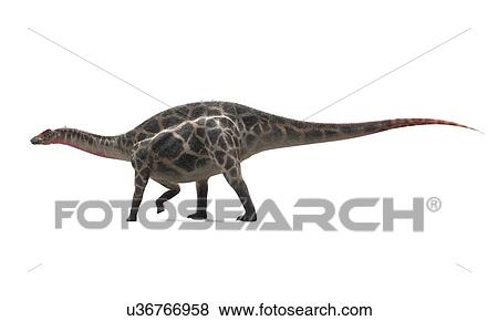 Dicraeosaurus dinosaur, artwork View Large Illustration Stock Illustration - Dicraeosaurus dinosaur, artwork. Fotosearch