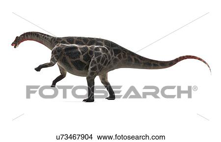 Dicraeosaurus dinosaur, artwork View Large Illustration Stock Illustration - Dicraeosaurus dinosaur, artwork. Fotosearch