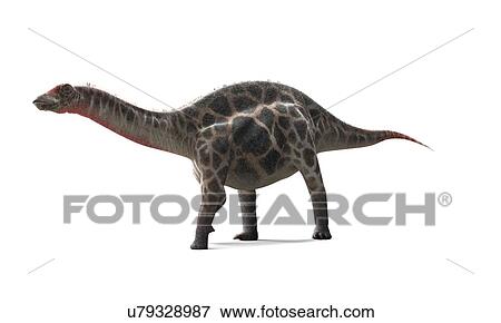 Dicraeosaurus dinosaur, artwork View Large Illustration Stock Illustration - Dicraeosaurus dinosaur, artwork. Fotosearch