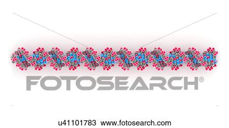 DNA molecule View Large Illustration Drawing - DNA molecule. Fotosearch