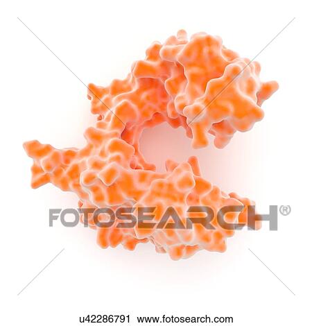 DNA polymerase molecule View Large Illustration Clip Art - DNA polymerase molecule. Fotosearch