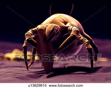 Stock Illustration - Dust mite, artwork. Fotosearch