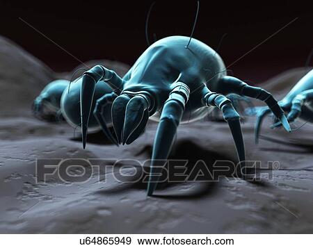 Dust mite, artwork View Large Illustration Stock Illustration - Dust mite, artwork. Fotosearch