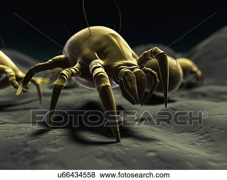 Stock Illustration - Dust mite, artwork. Fotosearch