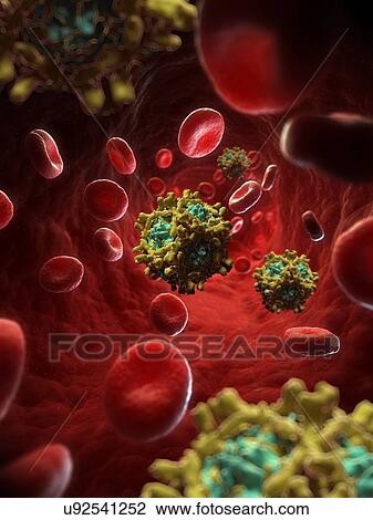 Echovirus, artwork View Large Illustration Drawing - Echovirus, artwork. Fotosearch