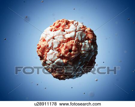 Stock Illustration - Equine rhinitis A virus, artwork. Fotosearch