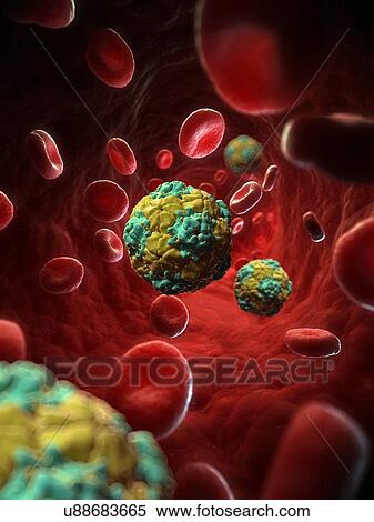 Stock Illustration - Equine rhinitis A virus, artwork. Fotosearch