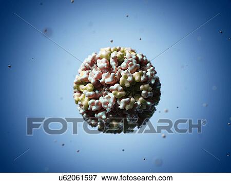 Stock Illustration - Flock House virus, artwork. Fotosearch