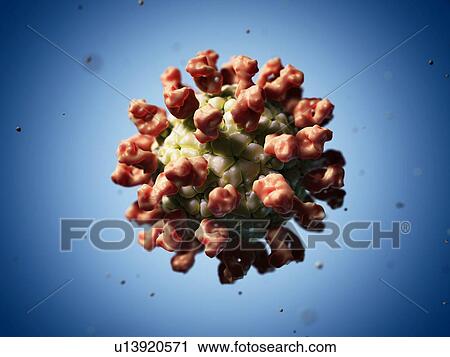 Clip Art - Foot and mouth disease virus, artwork. Fotosearch