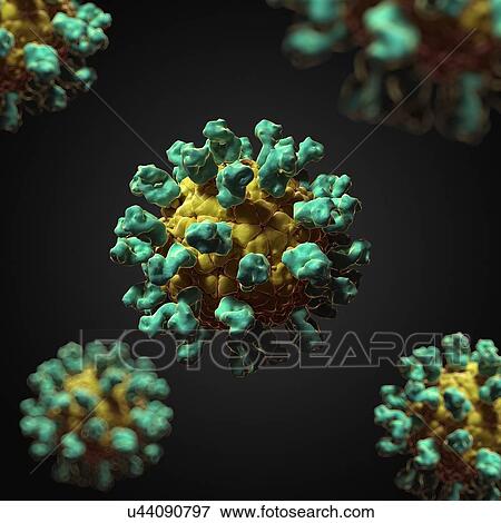 Stock Illustration - Foot and mouth disease virus, artwork. Fotosearch