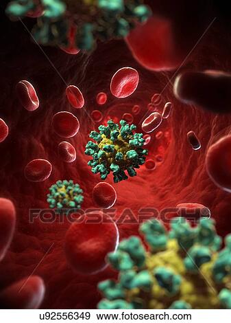 Foot and Mouth Disease virus, artwork View Large Illustration Stock Illustration - Foot and Mouth Disease virus, artwork. Fotosearch