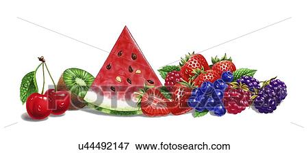 Stock Illustration - Fresh fruit, artwork. Fotosearch