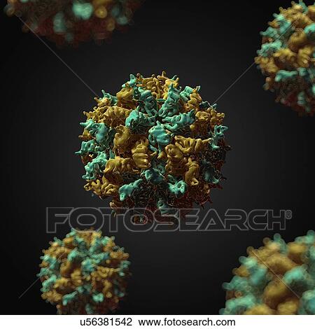 Fungal Partitivirus, artwork View Large Illustration Drawing - Fungal Partitivirus, artwork. Fotosearch