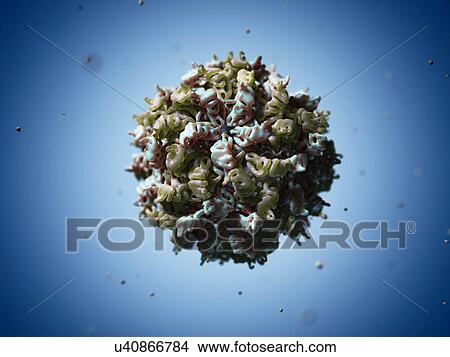 Fungal Partitivirus, artwork View Large Illustration Stock Illustration - Fungal Partitivirus, artwork. Fotosearch