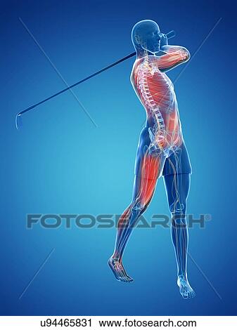 Clip Art - Golf player, artwork. Fotosearch