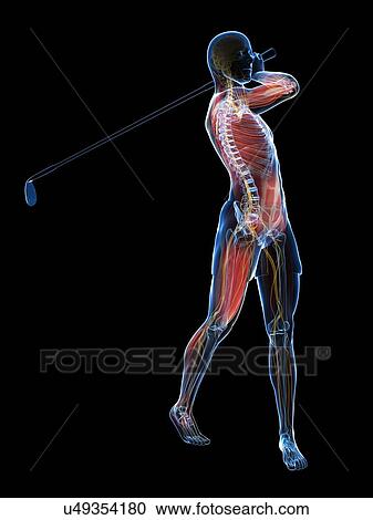 Clipart - Golf player, artwork. Fotosearch