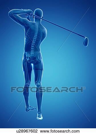 Golf player, artwork View Large Illustration Drawing - Golf player, artwork. Fotosearch