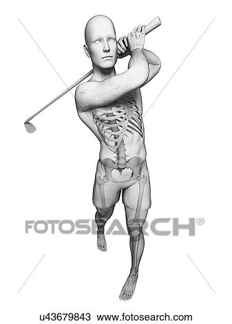 Drawing - Golf player, artwork. Fotosearch