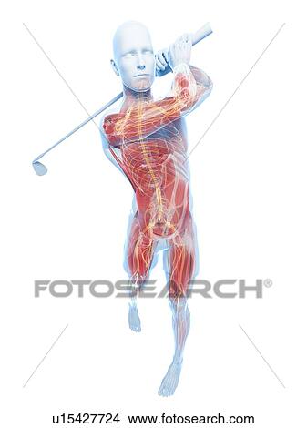 Stock Illustration - Golf player, artwork. Fotosearch