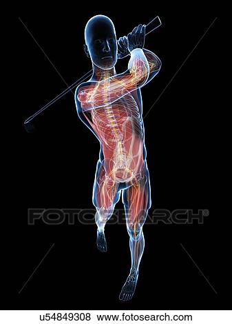 Stock Illustration - Golf player, artwork. Fotosearch