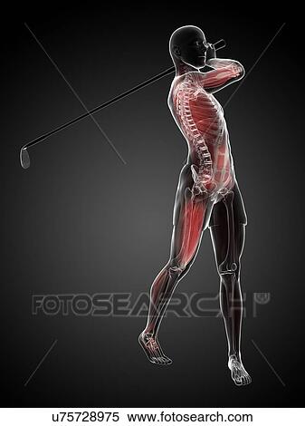 Golf player, artwork View Large Illustration Stock Illustration - Golf player, artwork. Fotosearch