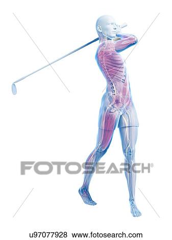 Stock Illustration - Golf player, artwork. Fotosearch