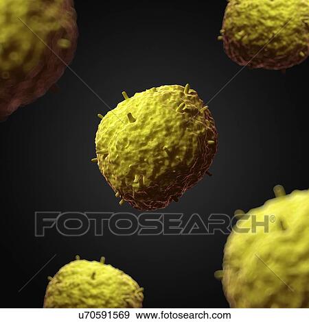 H1N1 influenza virus, artwork View Large Illustration Stock Illustration - H1N1 influenza virus, artwork. Fotosearch