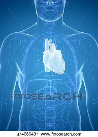 Heart, artwork View Large Illustration Stock Illustration - Heart, artwork. Fotosearch