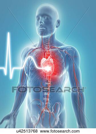 Stock Illustration - Heart beat, artwork. Fotosearch