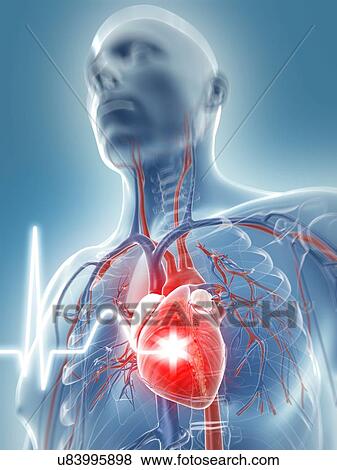 Heart beat, artwork View Large Illustration Stock Illustration - Heart beat, artwork. Fotosearch
