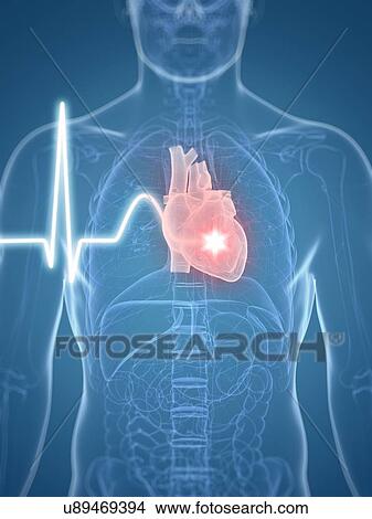 Heart beat, artwork View Large Illustration Stock Illustration - Heart beat, artwork. Fotosearch