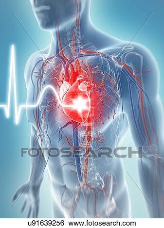 Heart beat, artwork View Large Illustration Stock Illustration - Heart beat, artwork. Fotosearch